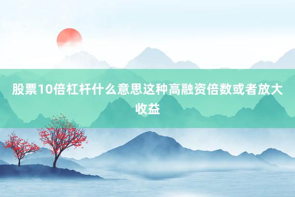 股票10倍杠杆什么意思这种高融资倍数或者放大收益