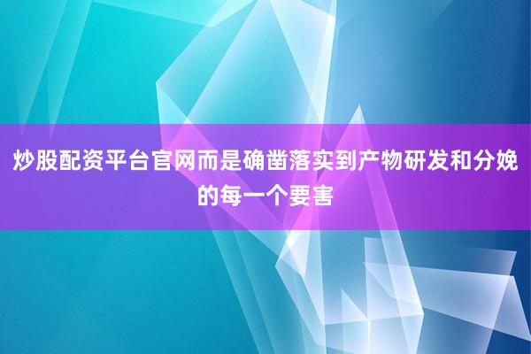 炒股配资平台官网而是确凿落实到产物研发和分娩的每一个要害