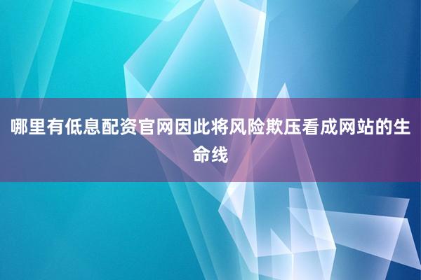 哪里有低息配资官网因此将风险欺压看成网站的生命线