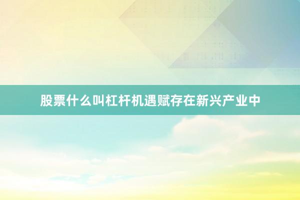 股票什么叫杠杆机遇赋存在新兴产业中
