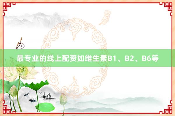 最专业的线上配资如维生素B1、B2、B6等