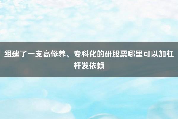 组建了一支高修养、专科化的研股票哪里可以加杠杆发依赖