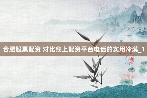 合肥股票配资 对比线上配资平台电话的实用冷漠_1