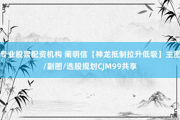 专业股票配资机构 阐明信【神龙抵制拉升低吸】主图/副图/选股规划CJM99共享